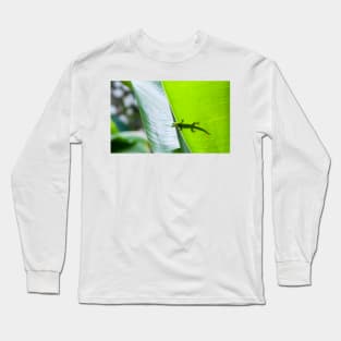 Small green gecko poking head over edge of tropical leaf with body silhouetted through leaf. Long Sleeve T-Shirt